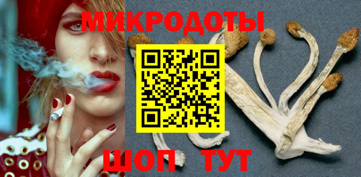 Галлюциногенные грибы Cubensis  Вход с VPN  Клинцы 